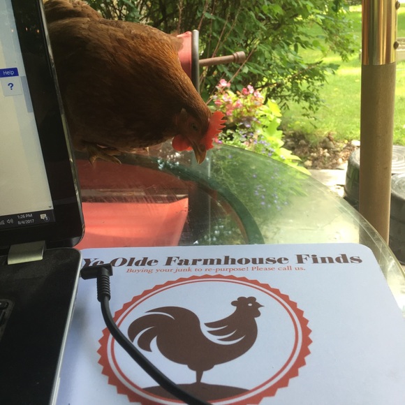 Meet your Posher, Kristen - Picture 6 of 8